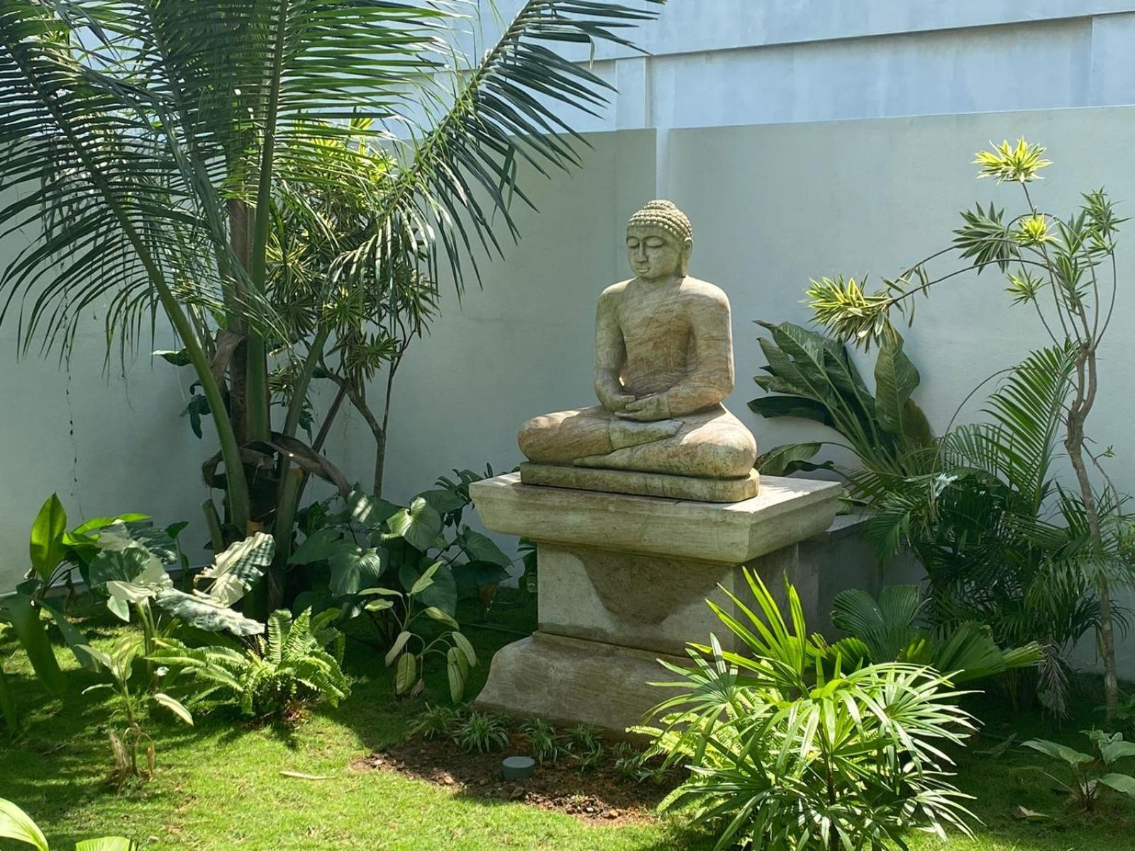 Sea Star Boutique Hotel هيكادوفا المظهر الخارجي الصورة